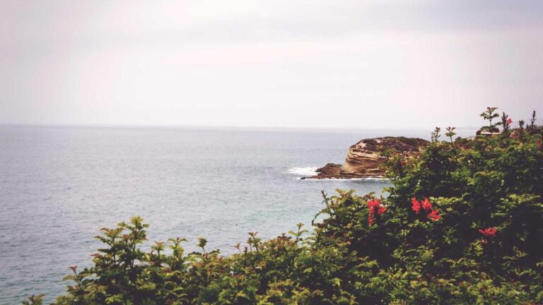 What Is The Required 99Exch Minimum Bet For Games?